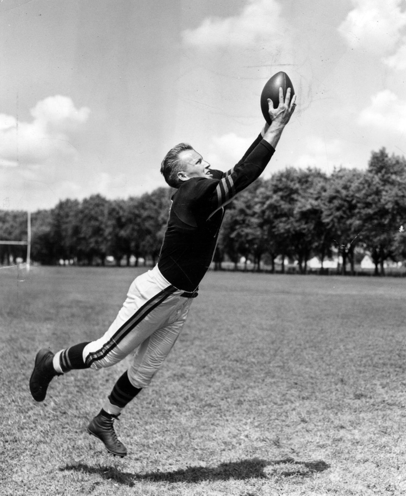 SHCRTS-BEARS-GREATS-JIMBO-COVERT-AND-2-TB.jpg